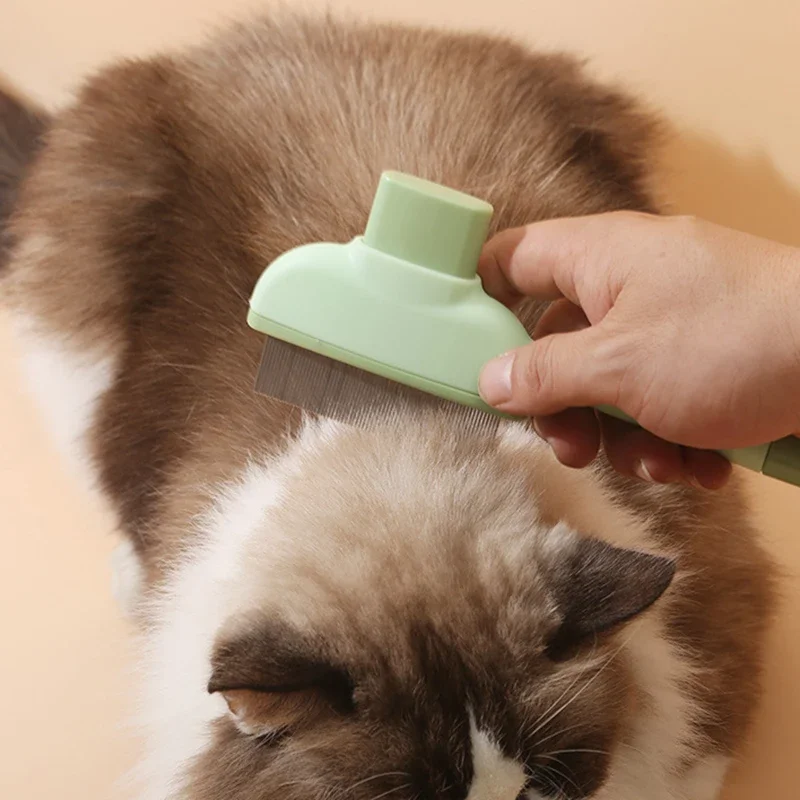Pet Kedi Tarak Kedi ve Köpek E - Beauty Makeup Artist incelemesi ve fiyatı
